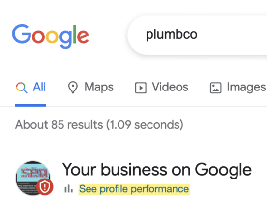 Google-business-profile-performance